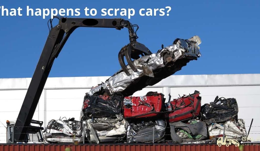 What happens to scrap cars?