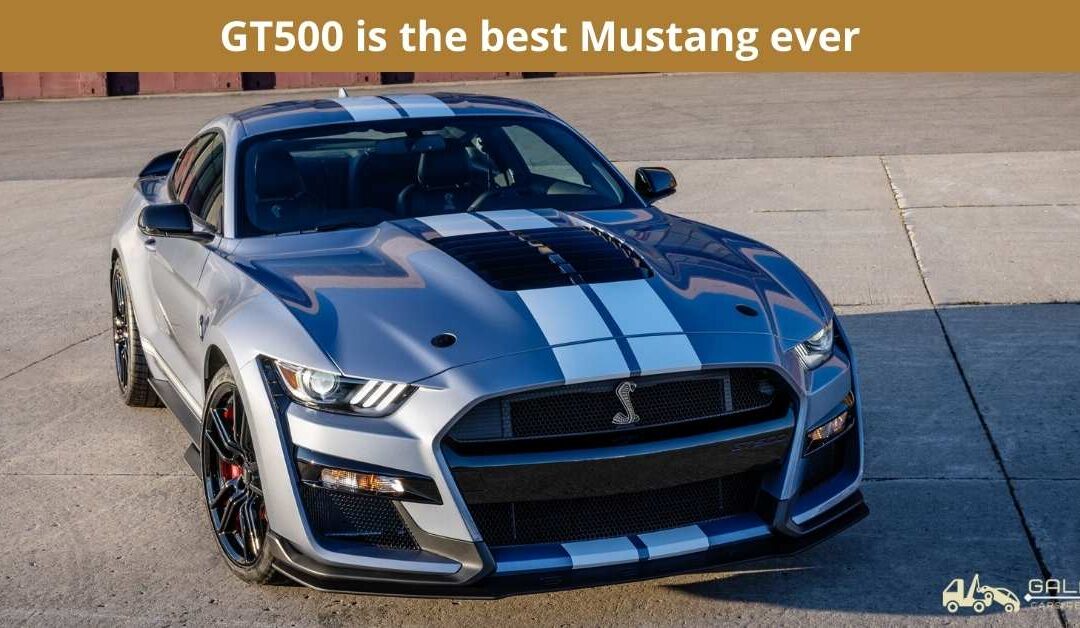 GT500 is the best Mustang ever